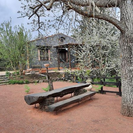 Casa Etna Villa Bronte Dış mekan fotoğraf