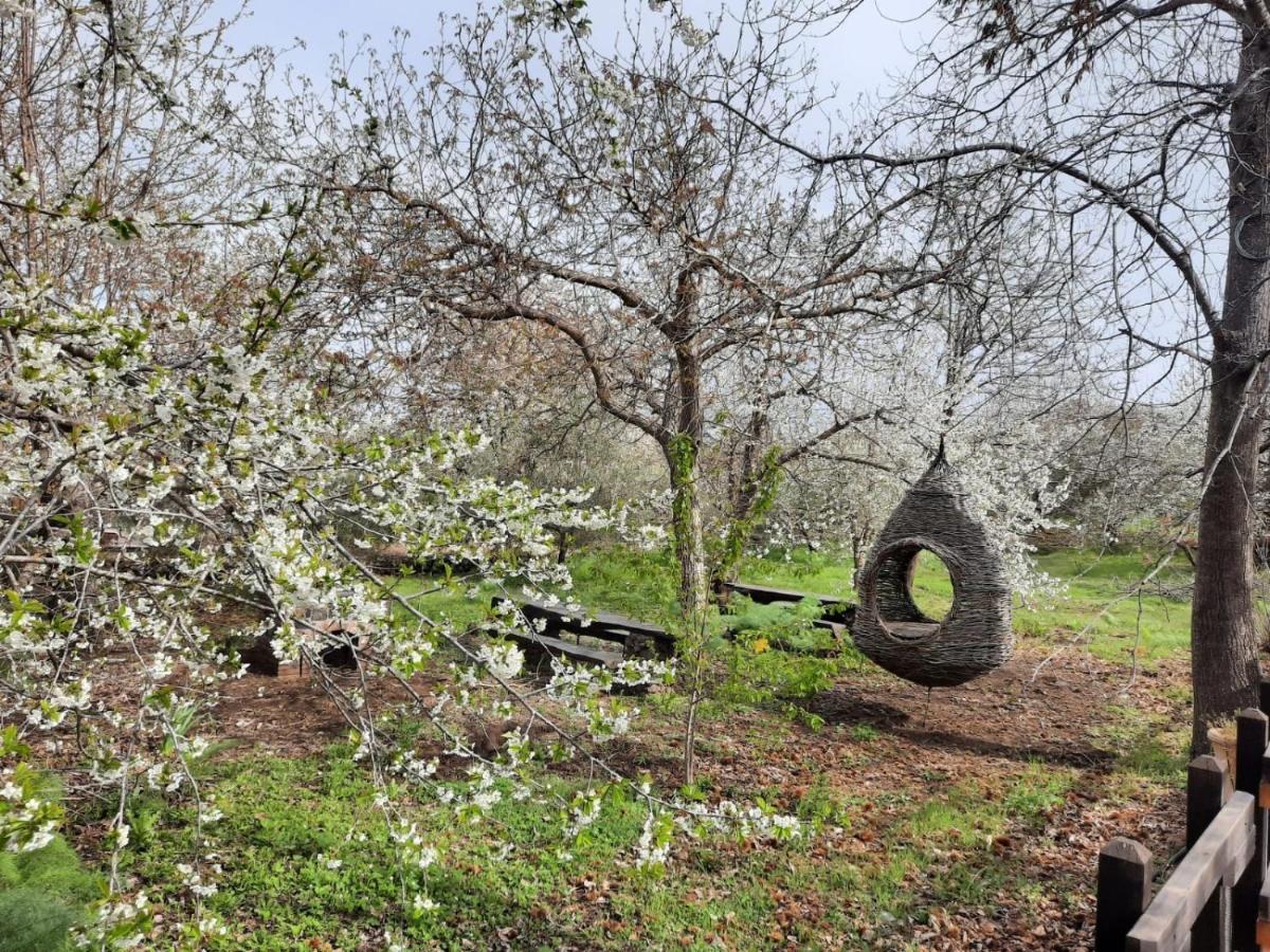 Casa Etna Villa Bronte Dış mekan fotoğraf