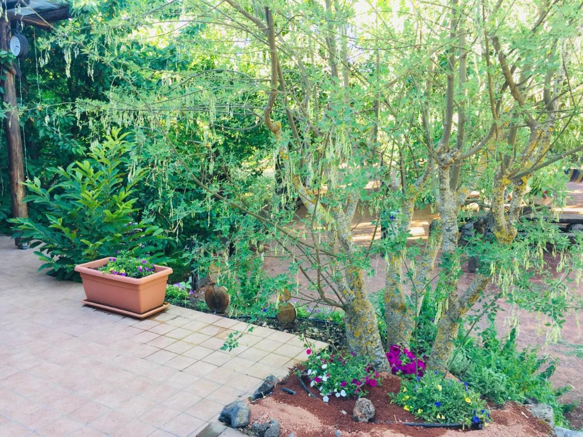 Casa Etna Villa Bronte Dış mekan fotoğraf