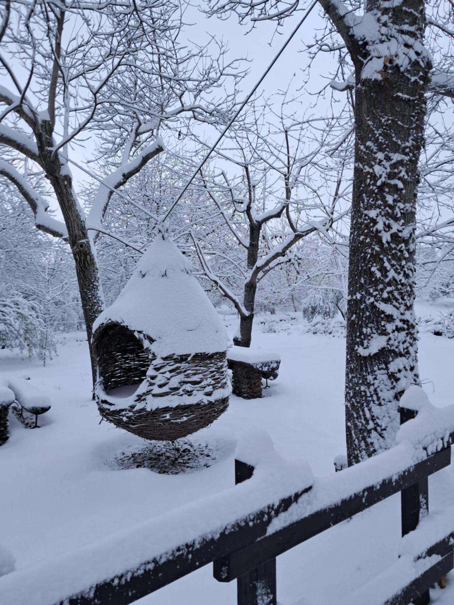 Casa Etna Villa Bronte Dış mekan fotoğraf