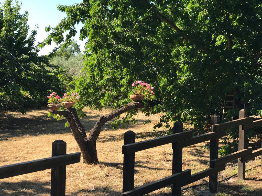 Casa Etna Villa Bronte Dış mekan fotoğraf
