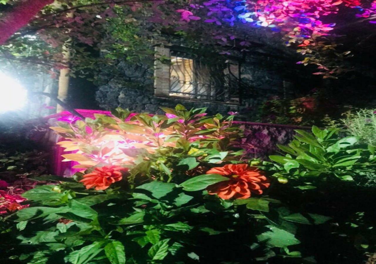 Casa Etna Villa Bronte Dış mekan fotoğraf